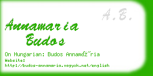 annamaria budos business card